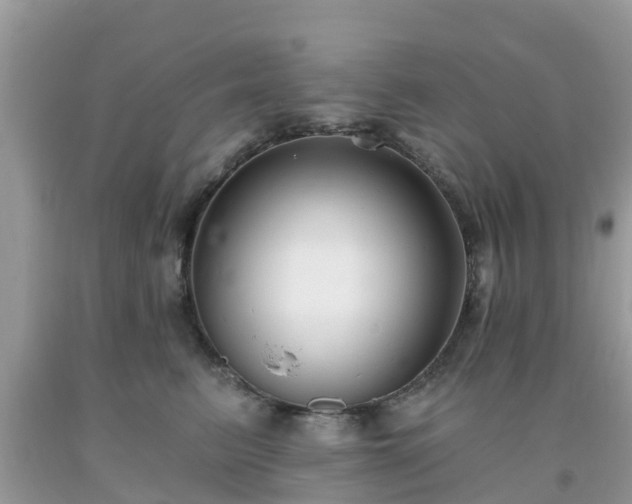 X0000093760615200710231254