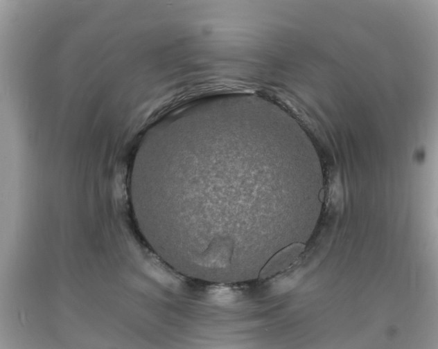 X0000093760616200710231254