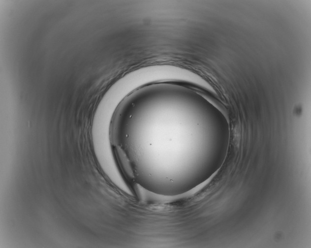 X0000093760617200710231253