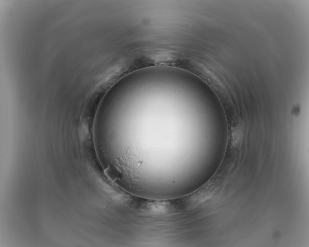 X0000093760618200710231253