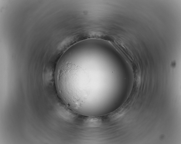 X0000093760619200710231253