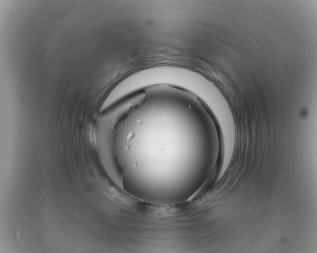 X0000093760621200710231253