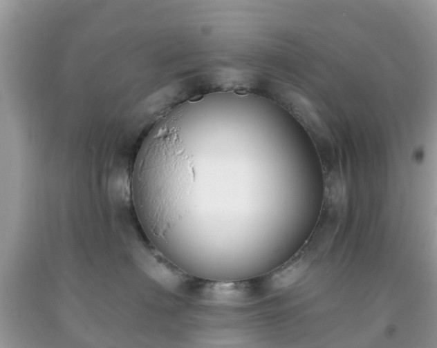 X0000093760622200710231253