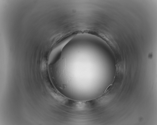 X0000093760623200710231253