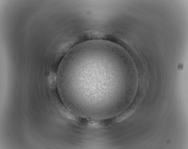 X0000093760624200710231253