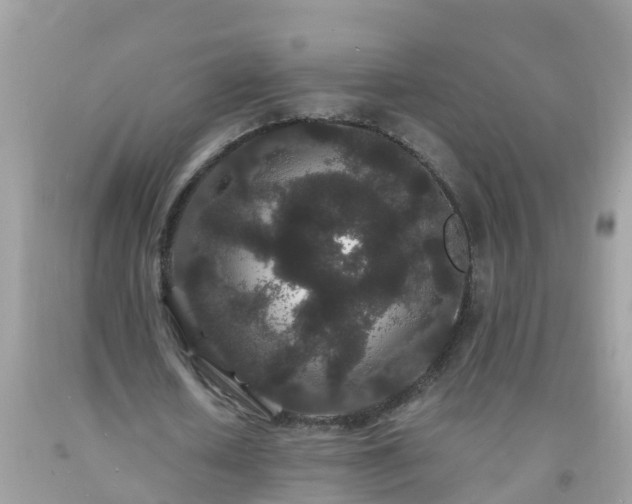 X0000093760626200710231253