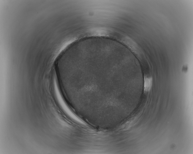 X0000093760627200710231253