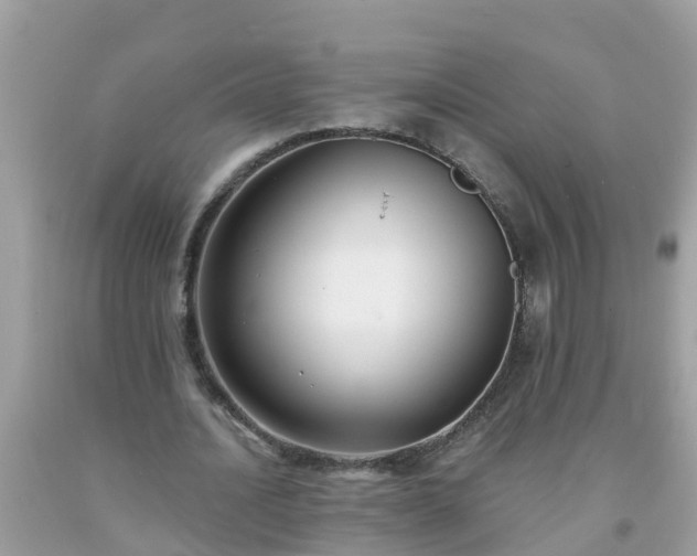 X0000093760628200710231253