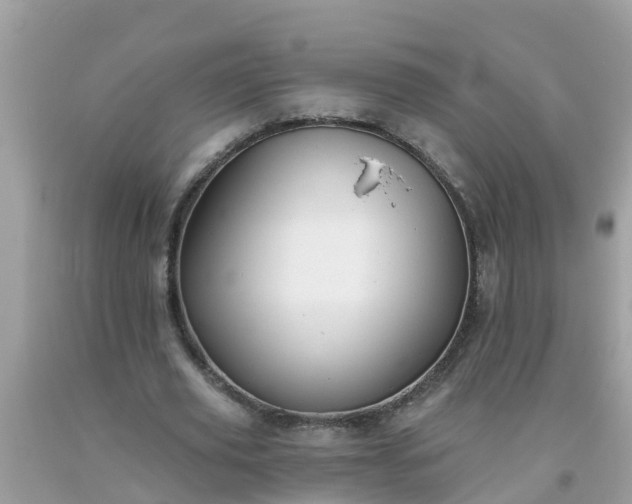 X0000093760629200710231253
