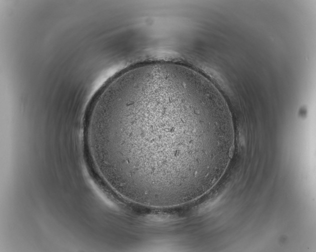 X0000093760630200710231253