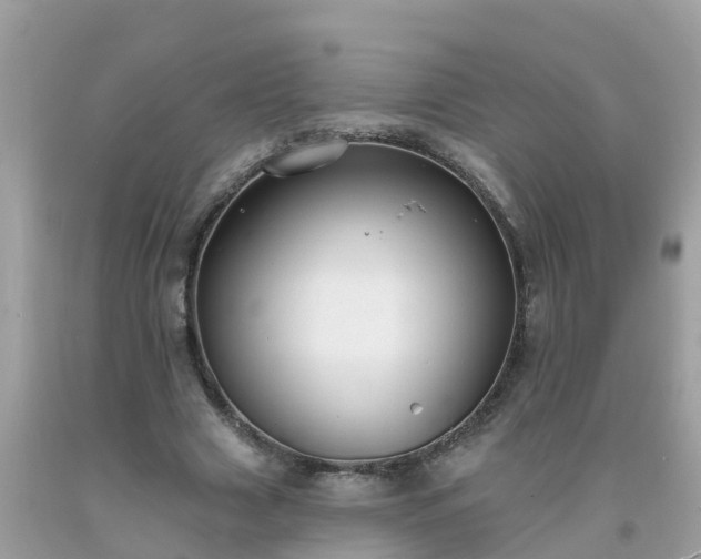 X0000093760633200710231253