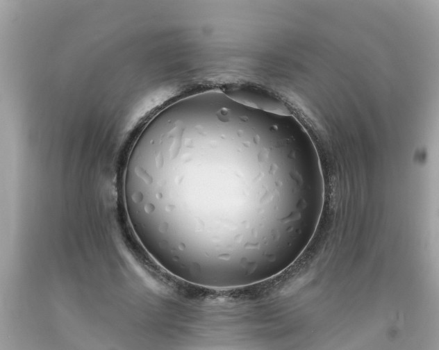 X0000093760634200710231253