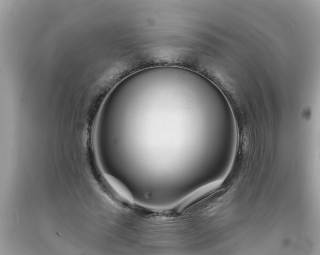 X0000093760637200710231253