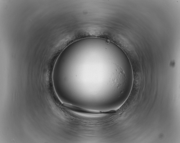X0000093760639200710231253