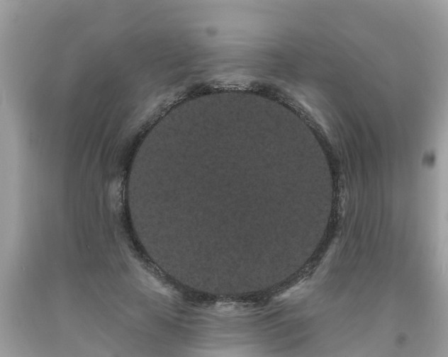 X0000093760641200710231253