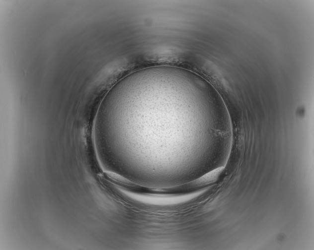 X0000093760643200710231253