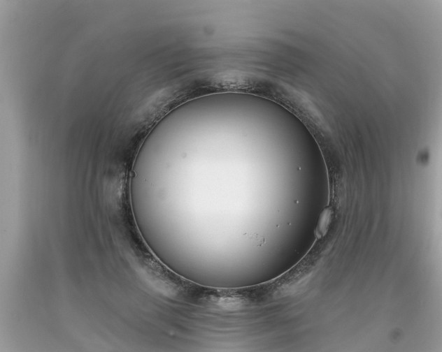 X0000093760645200710231253