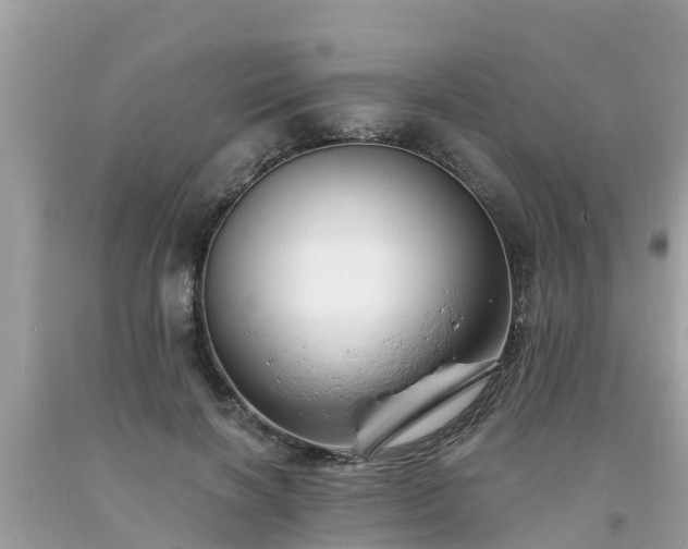 X0000093760646200710231253