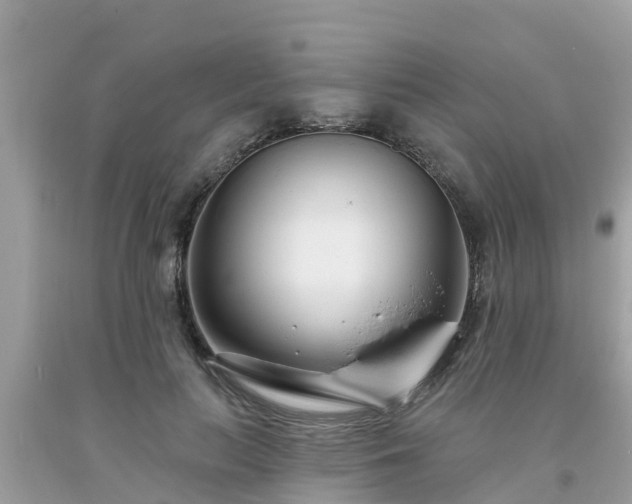 X0000093760647200710231253