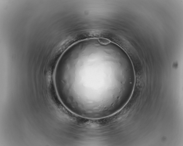 X0000093760648200710231253