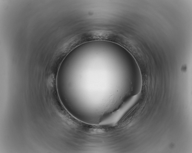 X0000093760649200710231253