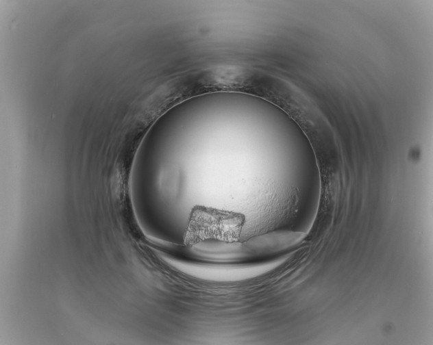 X0000093760651200710231253