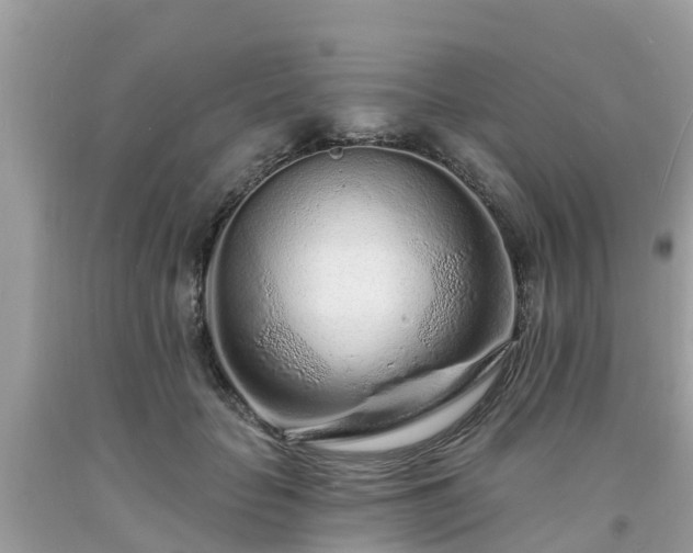 X0000093760653200710231253