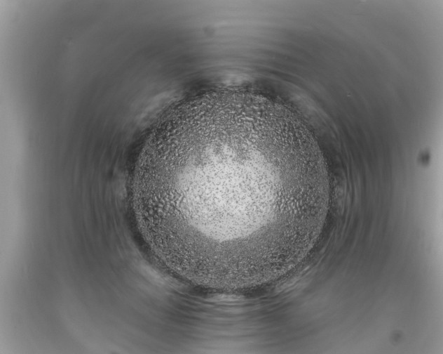 X0000093760654200710231253