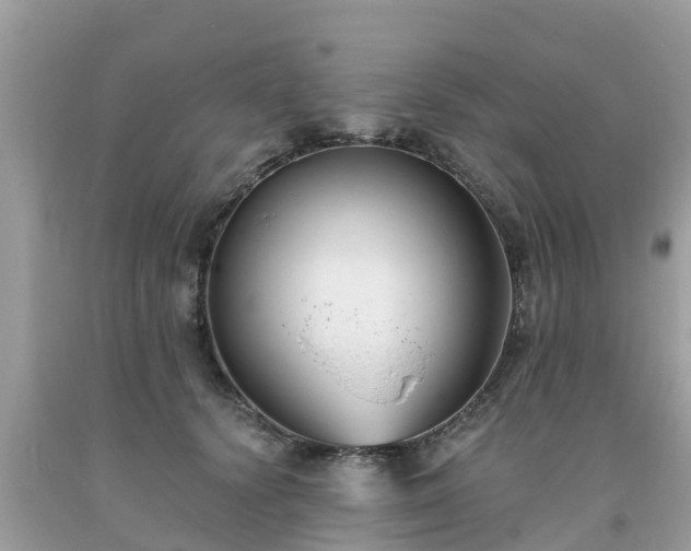 X0000093760656200710231253