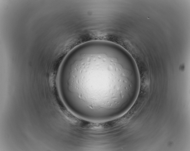 X0000093760658200710231253
