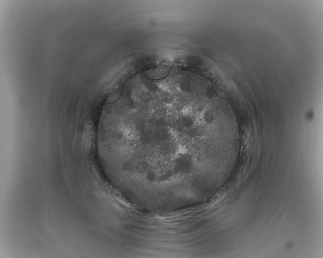 X0000093760659200710231253