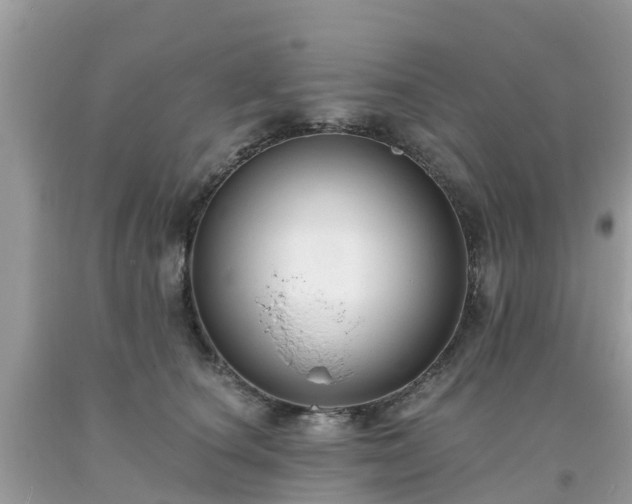 X0000093760660200710231253