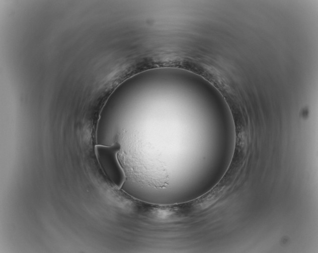 X0000093760662200710231253