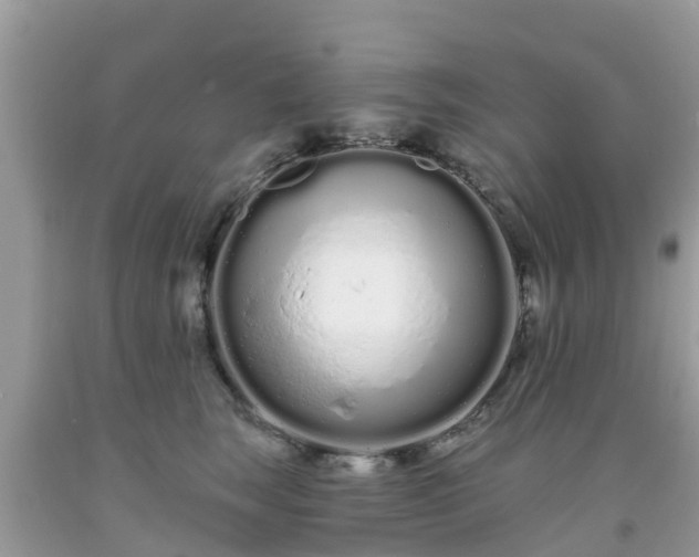 X0000093760663200710231253