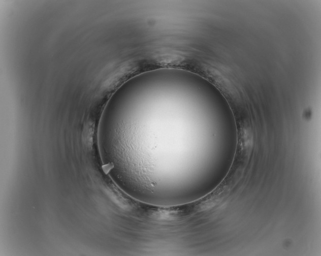 X0000093760664200710231253