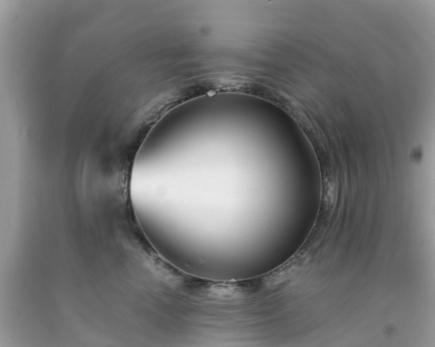 X0000093760666200710231253