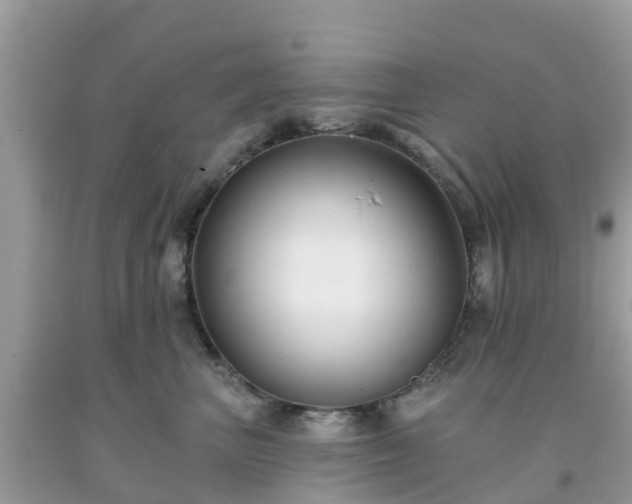 X0000093760667200710231253