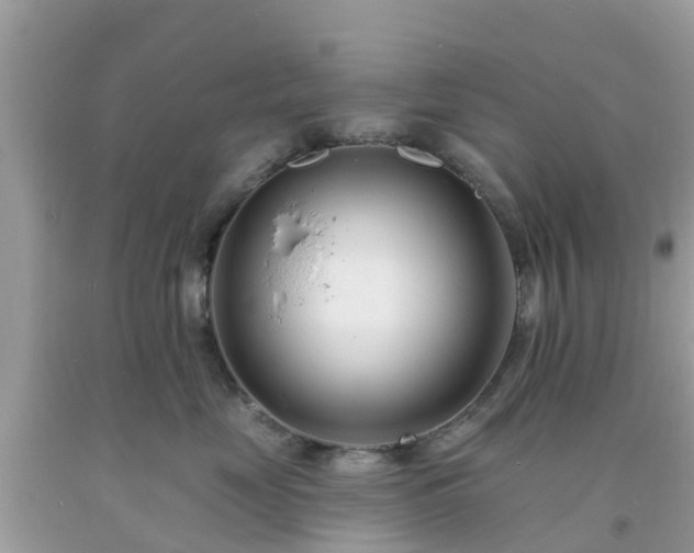X0000093760669200710231253