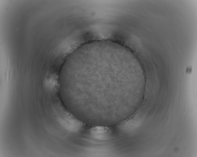 X0000093760672200710231253