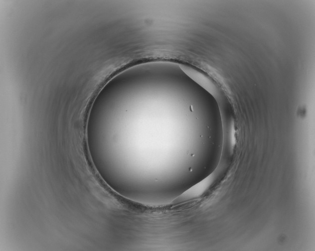 X0000093760673200710231253