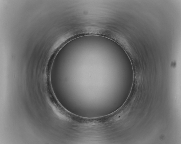 X0000093760674200710231253