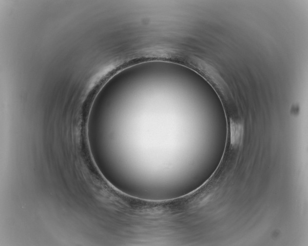X0000093760675200710231253