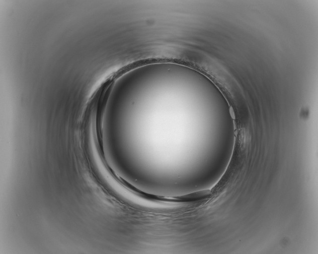 X0000093760676200710231253