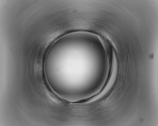 X0000093760677200710231253