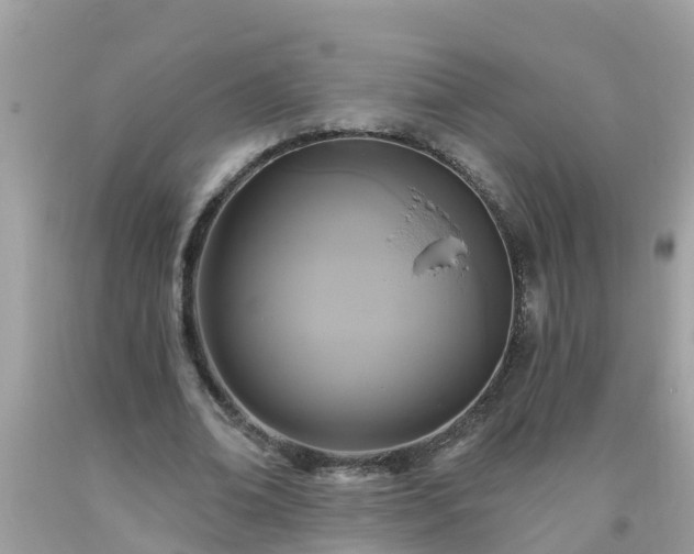X0000093760678200710231253