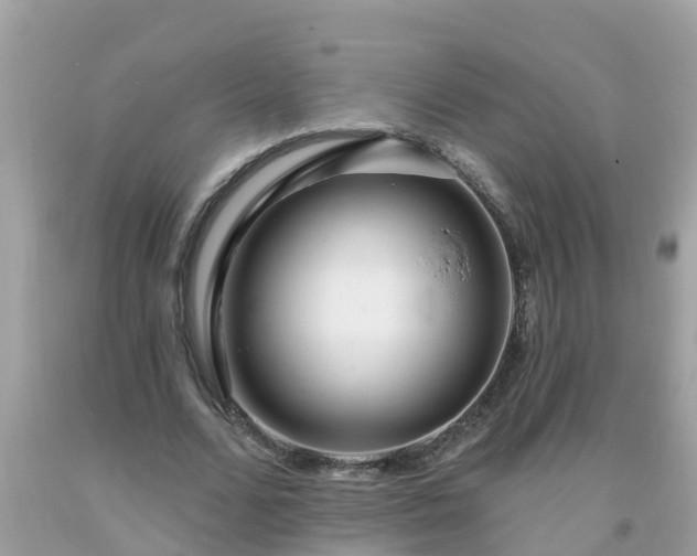 X0000093760680200710231253