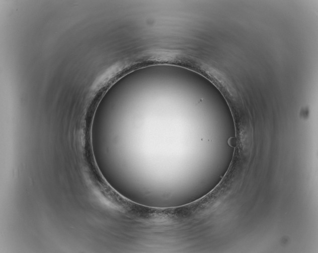 X0000093760682200710231253