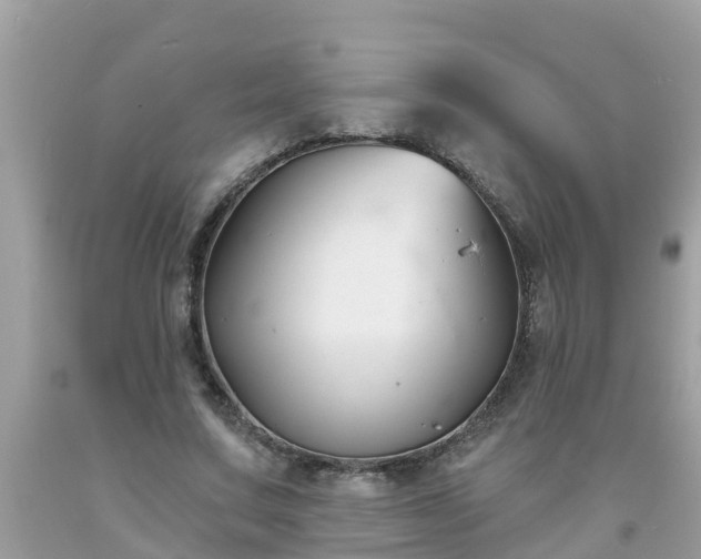 X0000093760683200710231253
