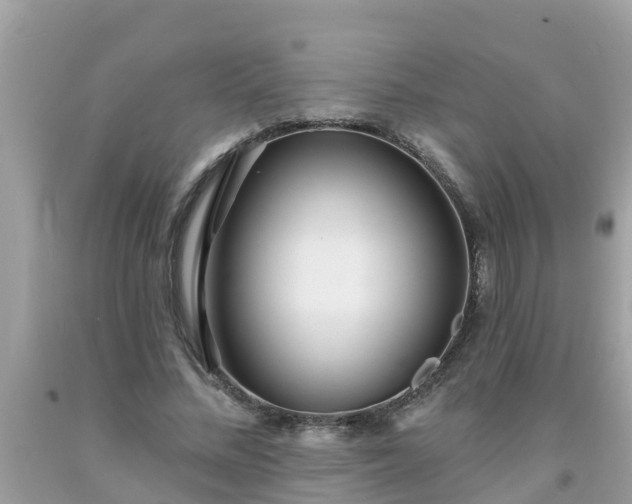 X0000093760684200710231253