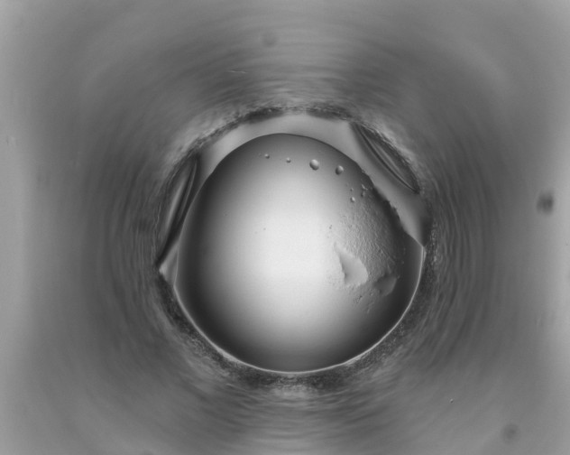 X0000093760685200710231253